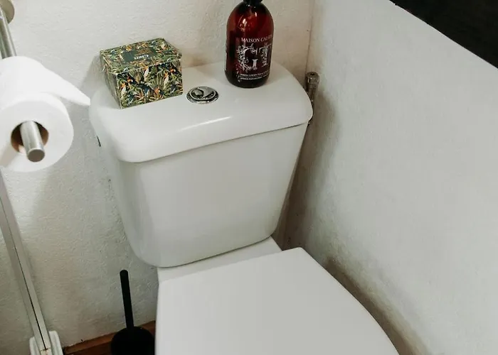 Tiny Mae Op De Veluwe Alpstuga *